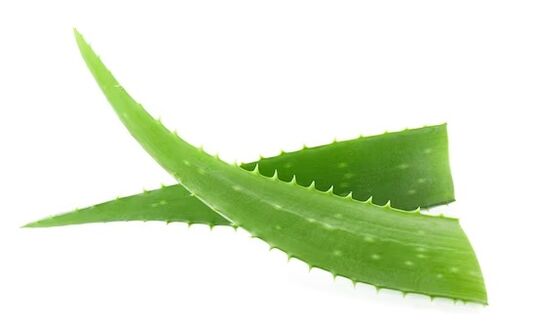 Fungent contém aloe vera